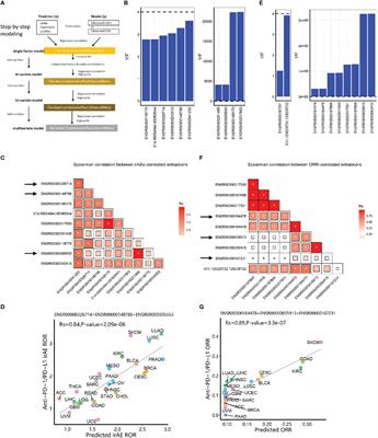 Frontiers Enhancer RNA Based Modeling Of Adverse Events And Objective